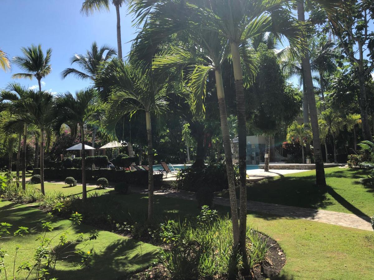 Comfortable Apartment In Caribbean Paradise Sosúa Εξωτερικό φωτογραφία
