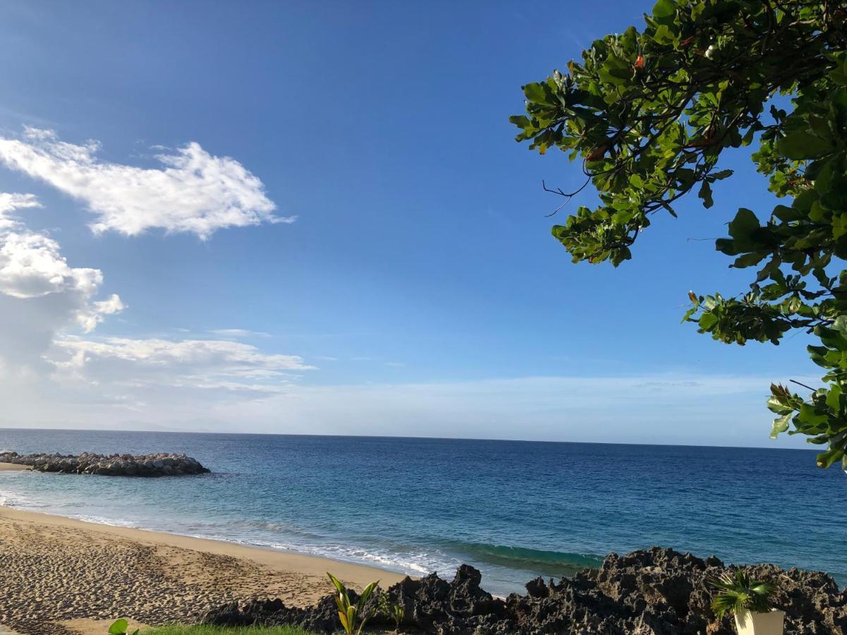 Comfortable Apartment In Caribbean Paradise Sosúa Εξωτερικό φωτογραφία